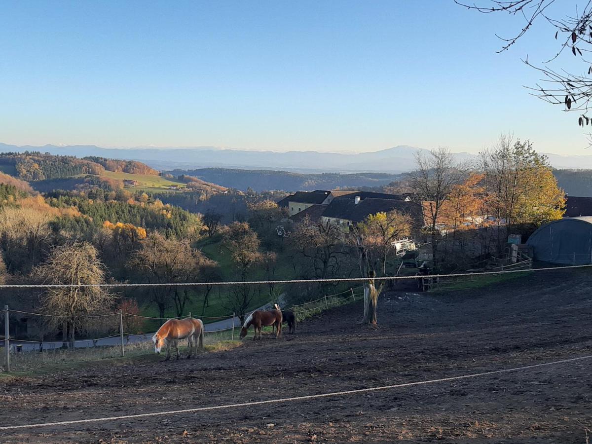 Ferienwohnung Rotheneder- Rupp Niederndorf  Bagian luar foto